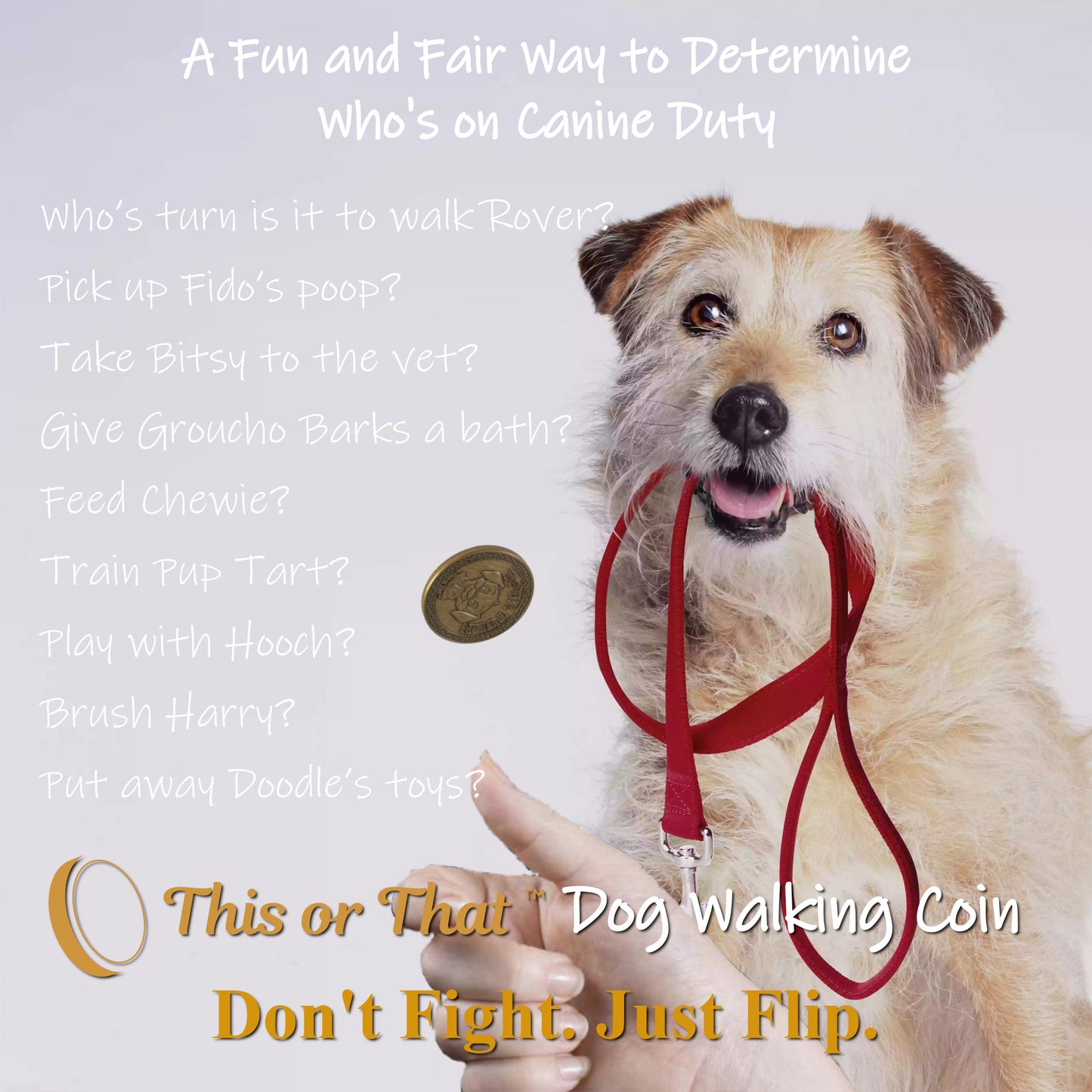Questions that can be answered by the This or That Dog Walking coin